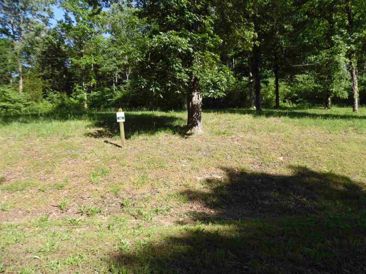0 Adam Loop Bath Springs TN 38311