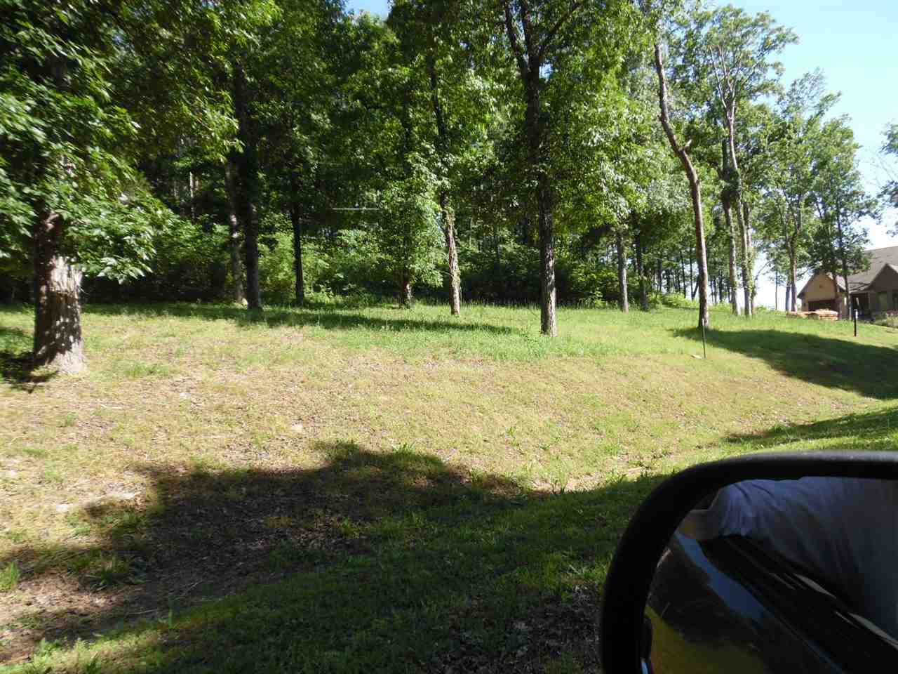 0 Adam Loop Bath Springs TN 38311