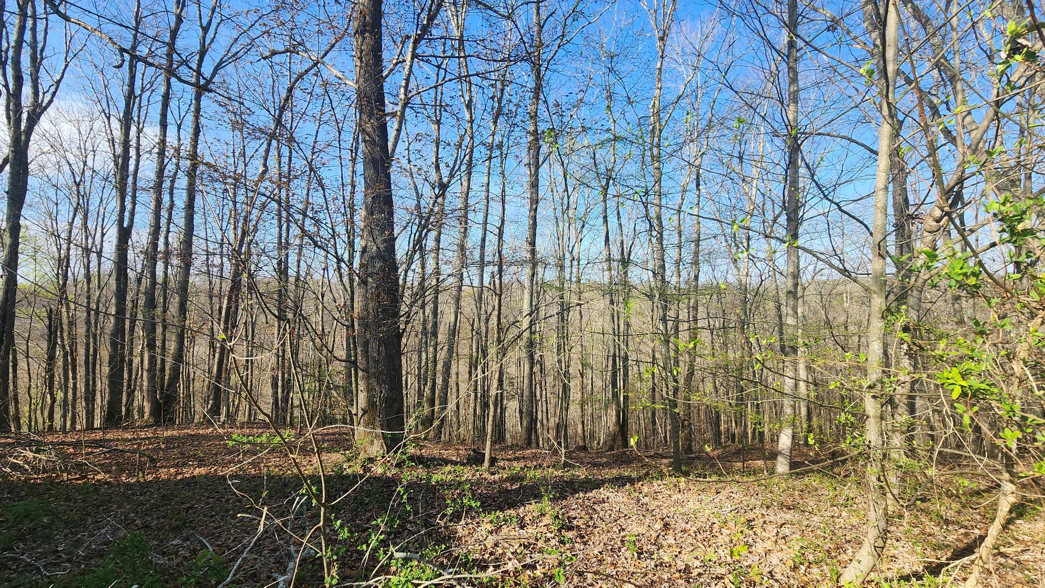 214 Dont Care Lane Celina TN 38551