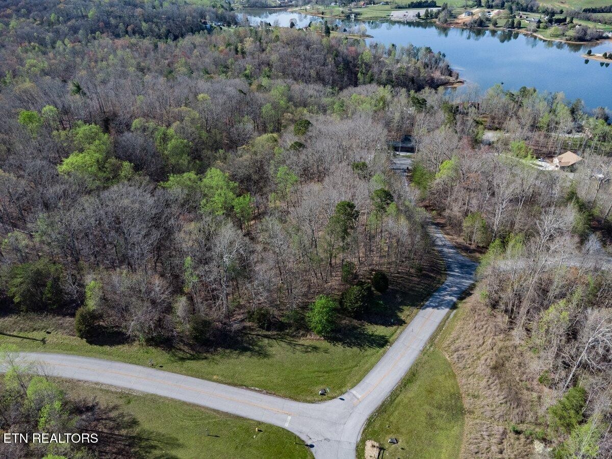 0 Crystal Springs Road Lot 209 Rockwood TN 37854