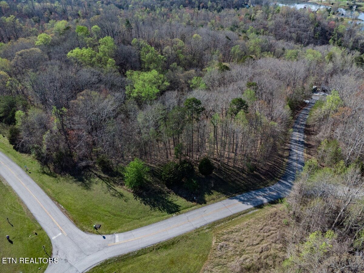 0 Crystal Springs Road Lot 209 Rockwood TN 37854