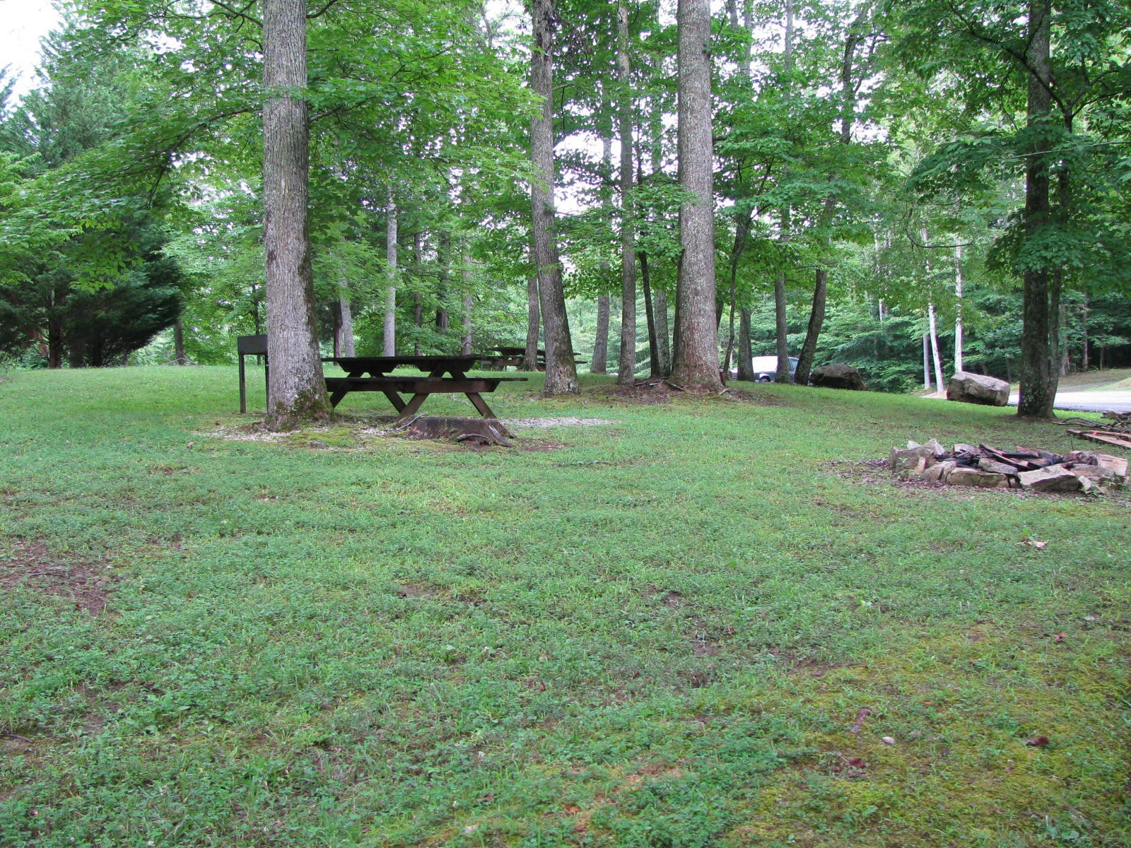 0 Crystal Springs Road Lot 209 Rockwood TN 37854