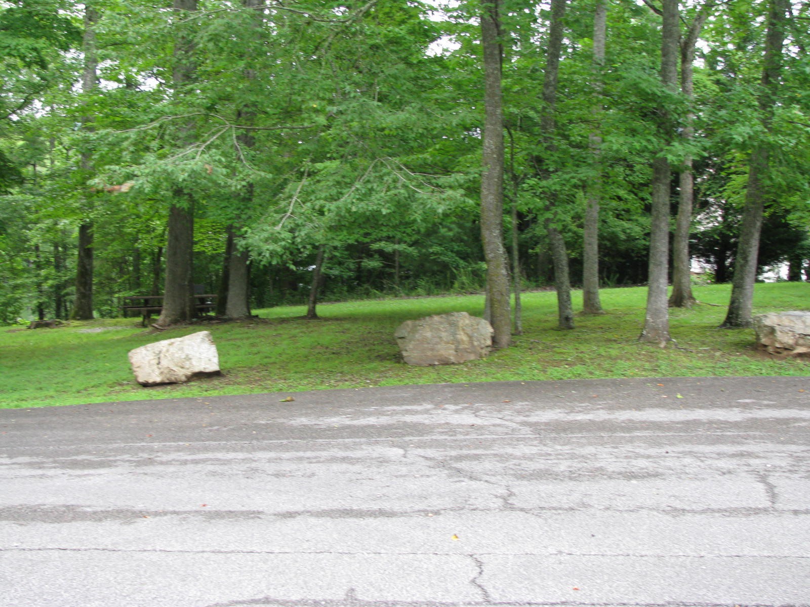 0 Crystal Springs Road Lot 209 Rockwood TN 37854