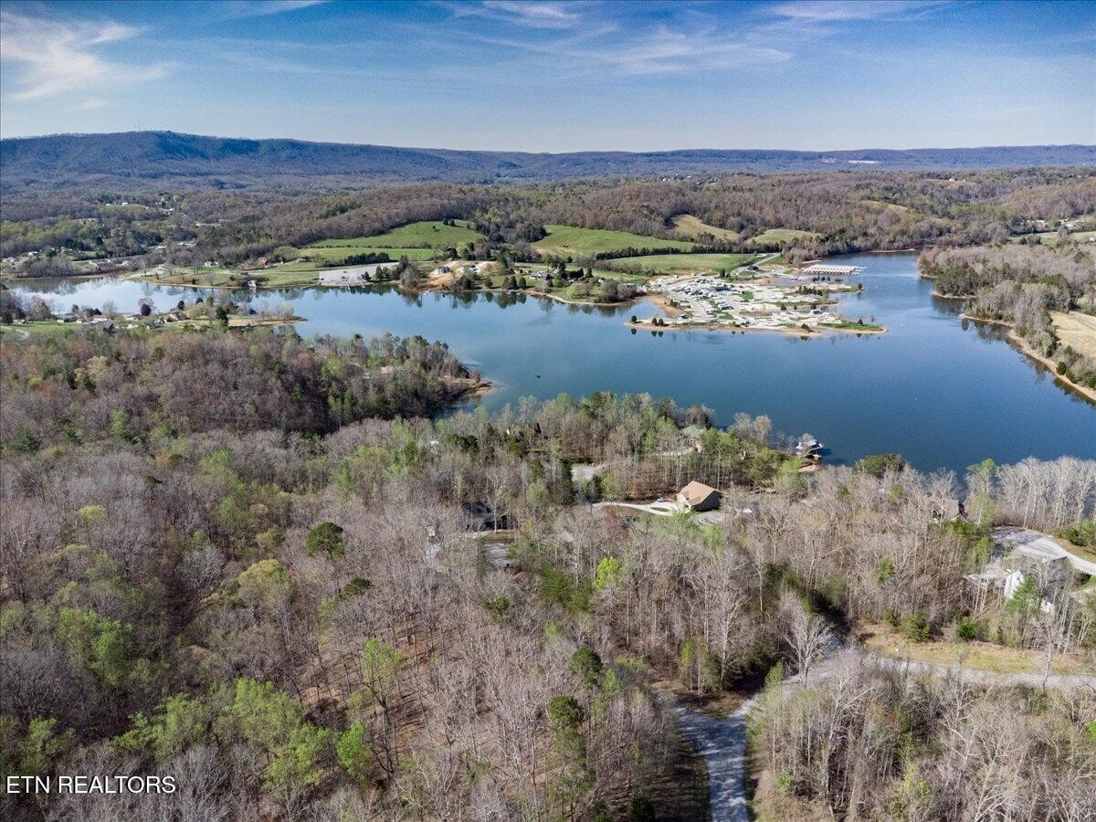 0 Crystal Springs Road Lot 209 Rockwood TN 37854