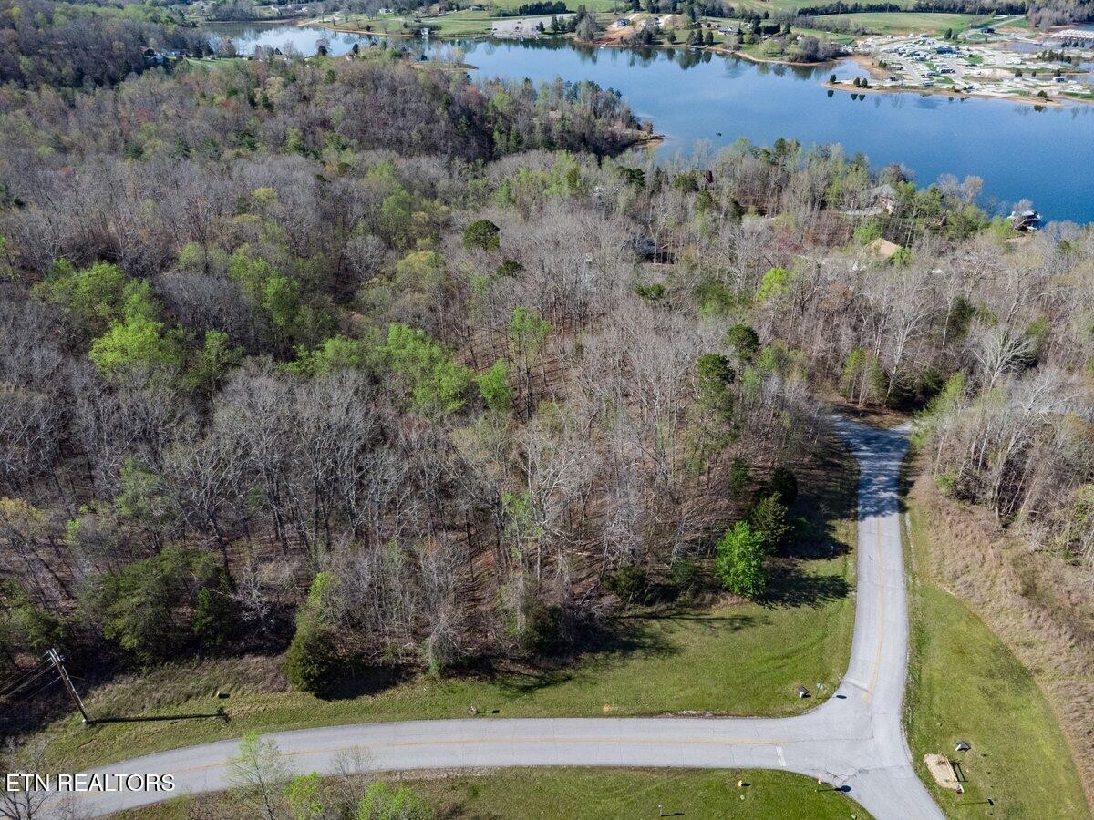 0 Crystal Springs Road Lot 209 Rockwood TN 37854