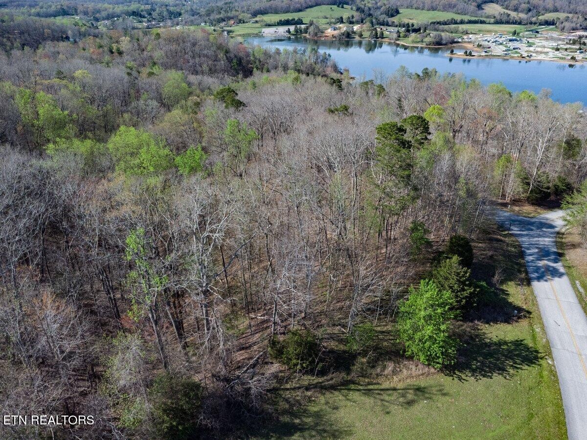 0 Crystal Springs Road Lot 209 Rockwood TN 37854