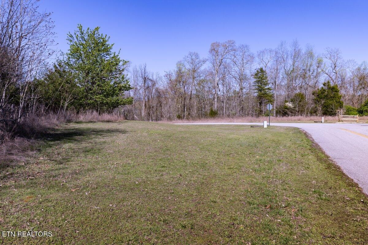 0 Crystal Springs Road Lot 209 Rockwood TN 37854