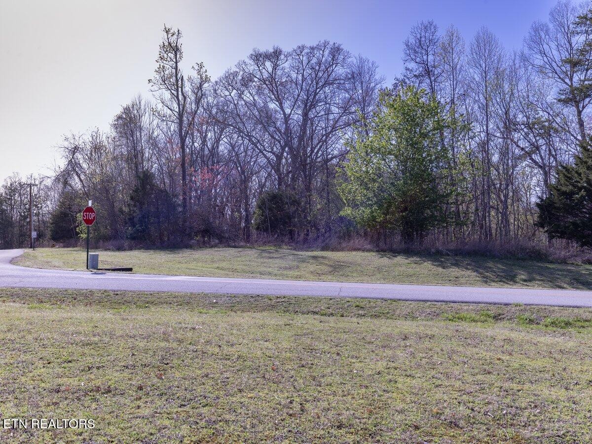 0 Crystal Springs Road Lot 209 Rockwood TN 37854