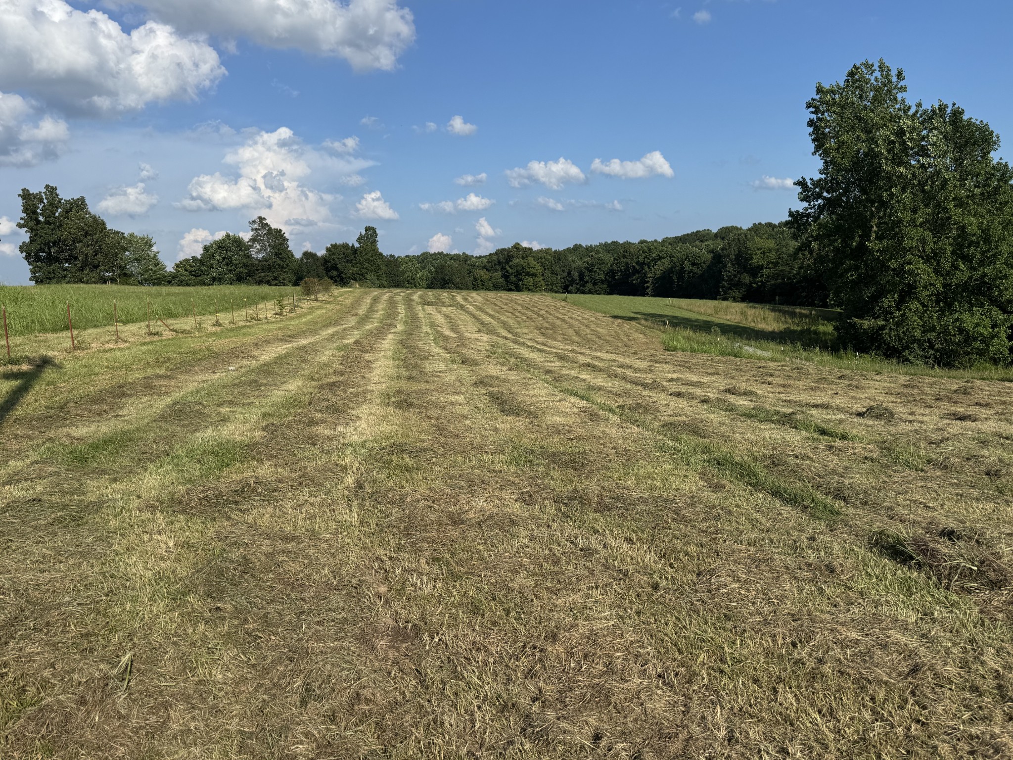 0 Galen Road Lafayette TN 37083