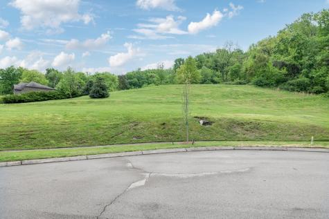 110 Curry Court Franklin TN 37064