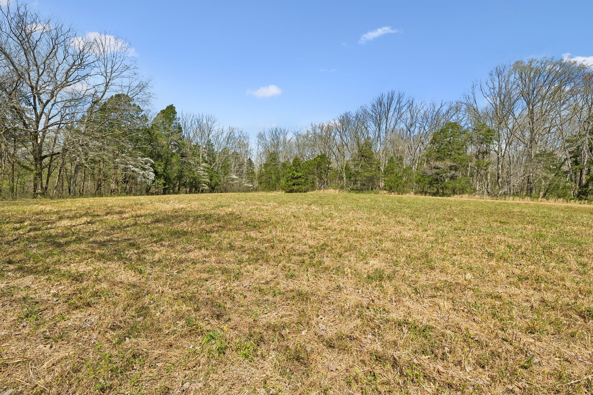 0 Turney Road Auburntown TN 37016