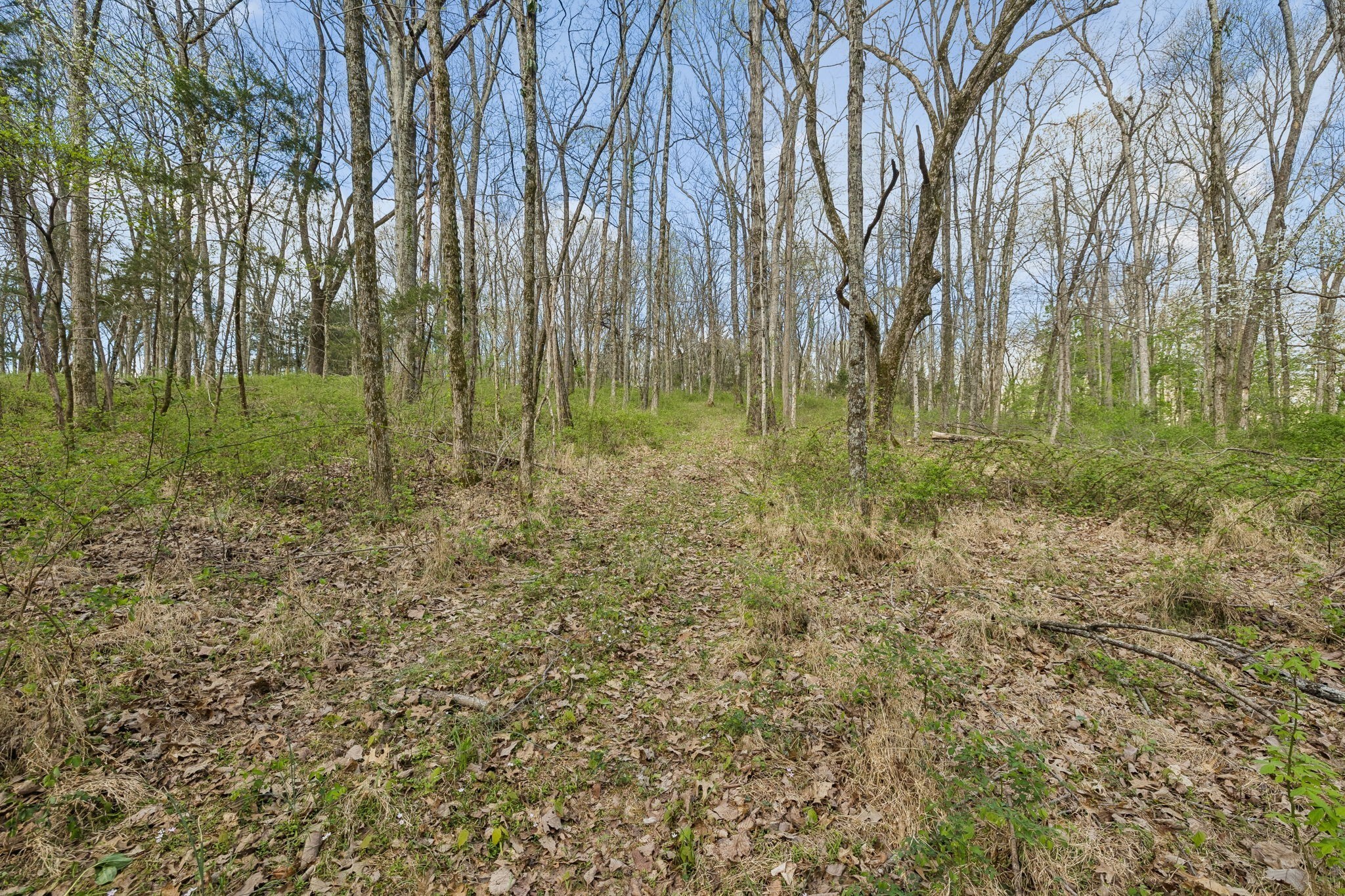 0 Turney Road Auburntown TN 37016