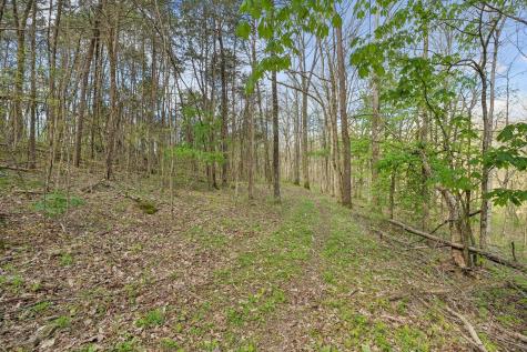 0 Turney Road Auburntown TN 37016
