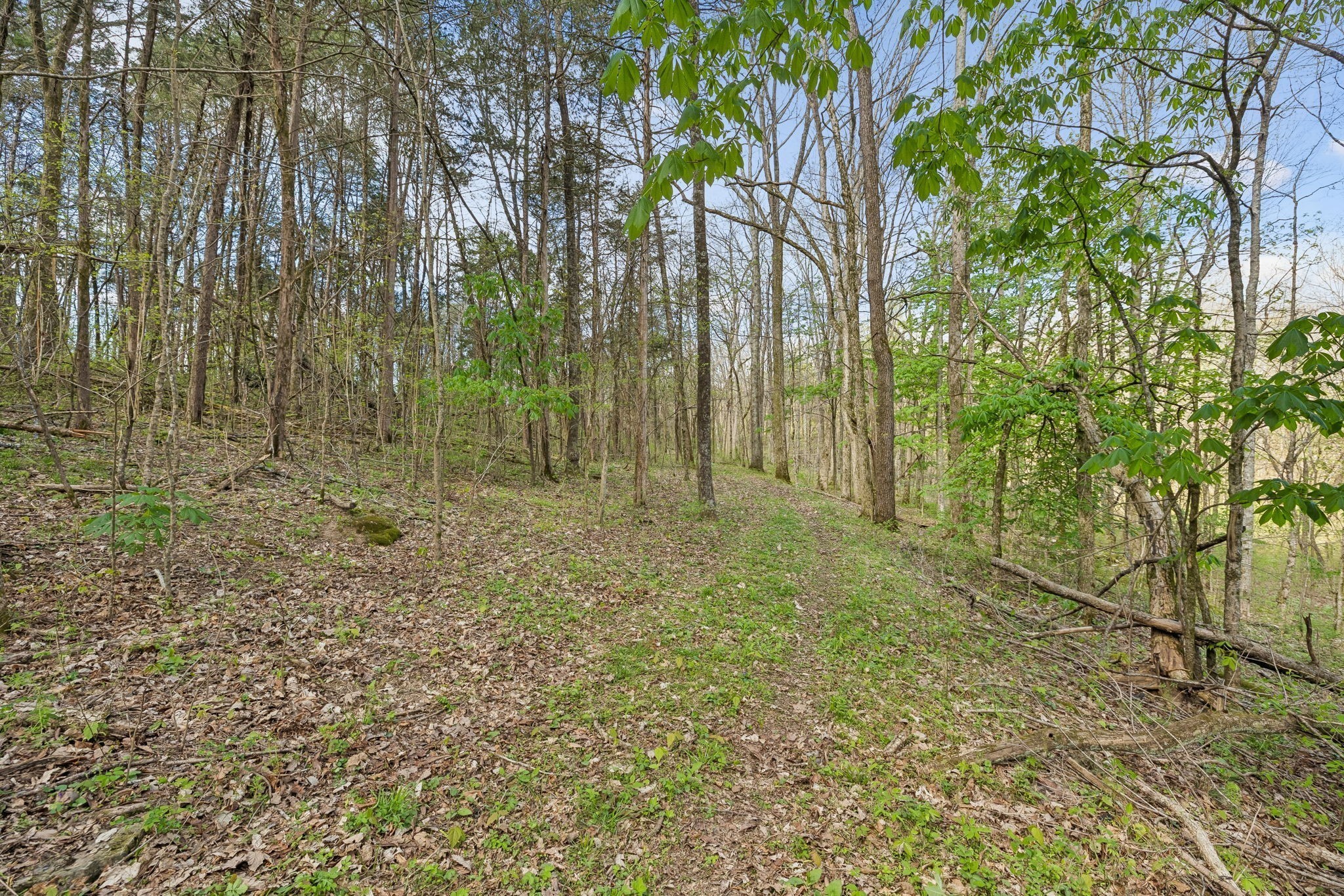 0 Turney Road Auburntown TN 37016