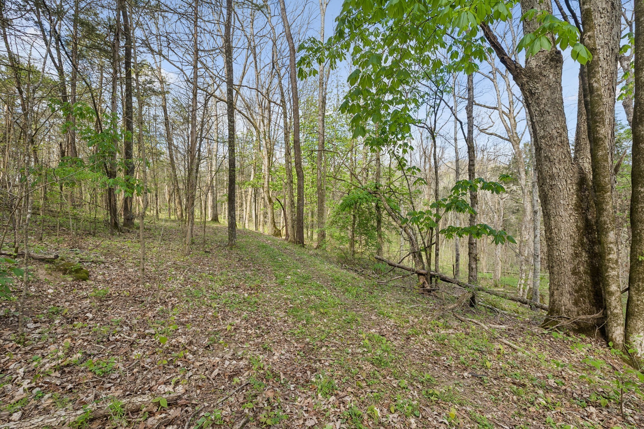 0 Turney Road Auburntown TN 37016