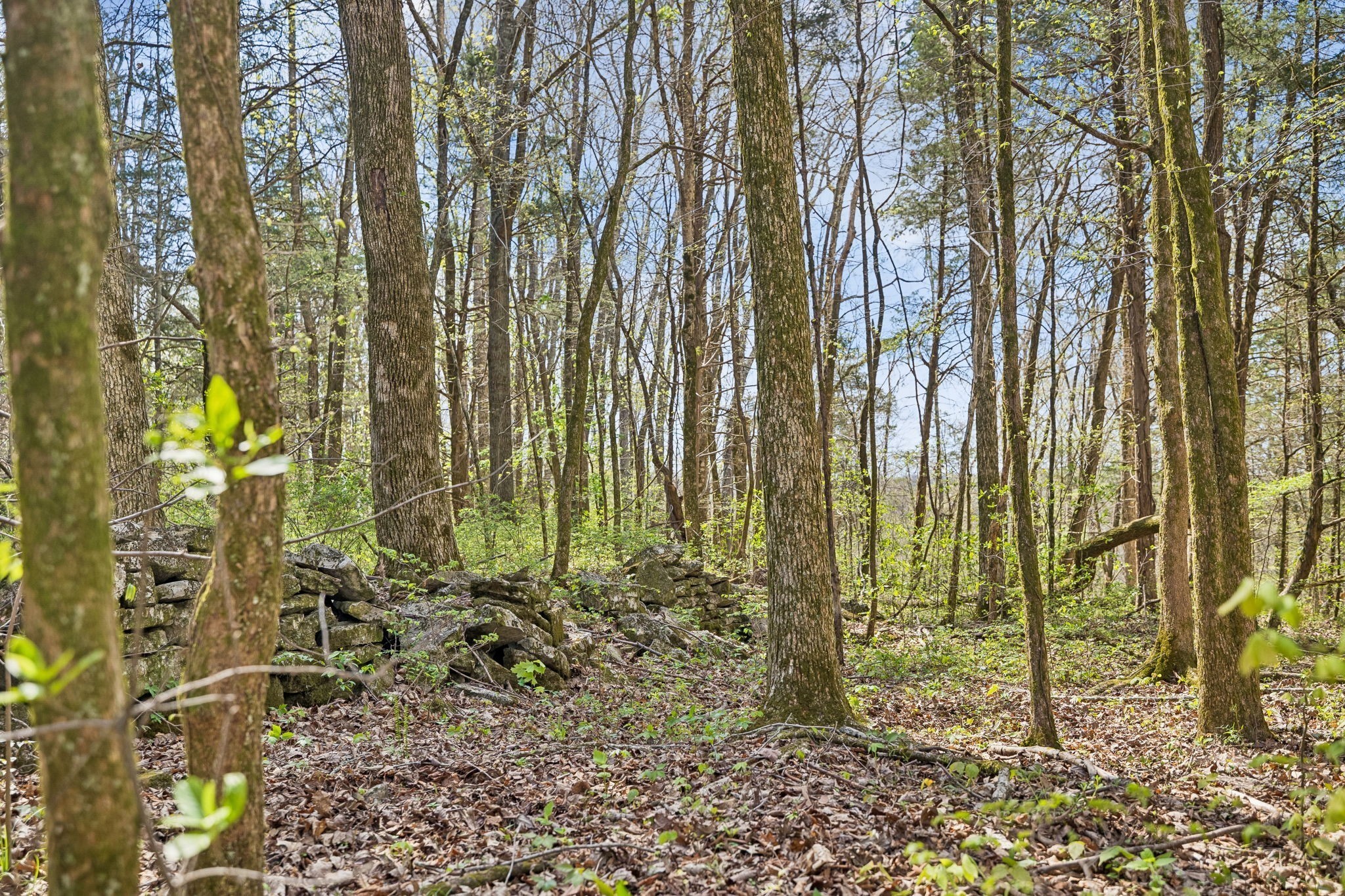 0 Turney Road Auburntown TN 37016
