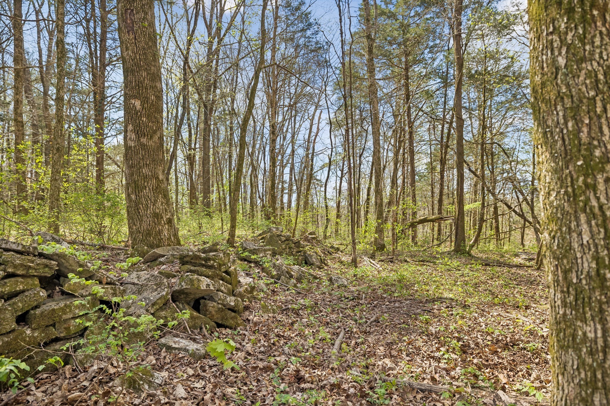 0 Turney Road Auburntown TN 37016