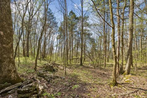0 Turney Road Auburntown TN 37016