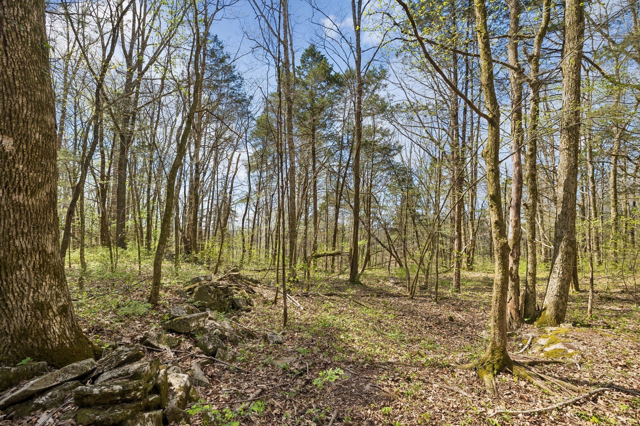 0 Turney Road Auburntown TN 37016