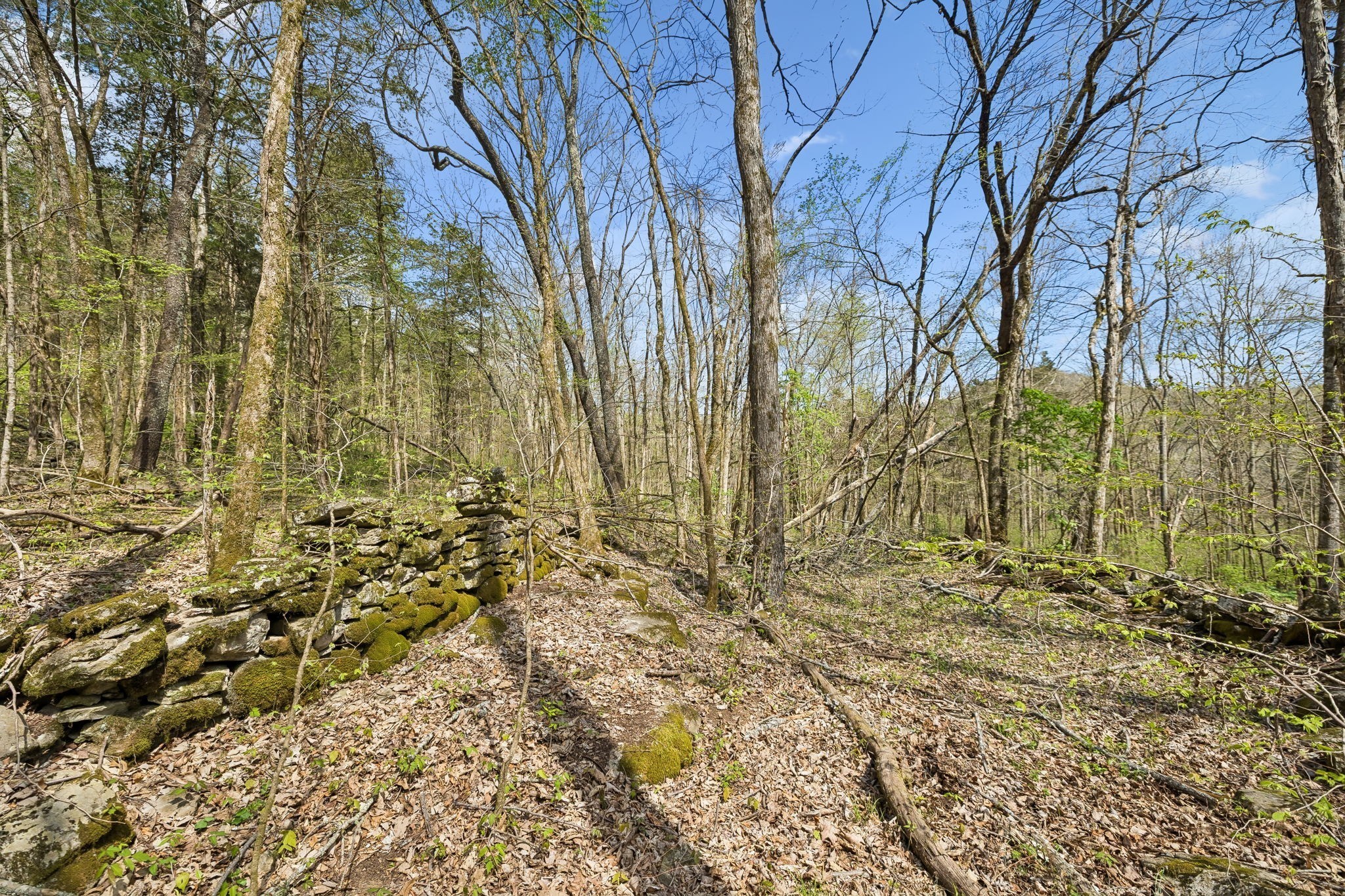 0 Turney Road Auburntown TN 37016