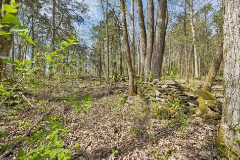 0 Turney Road Auburntown TN 37016