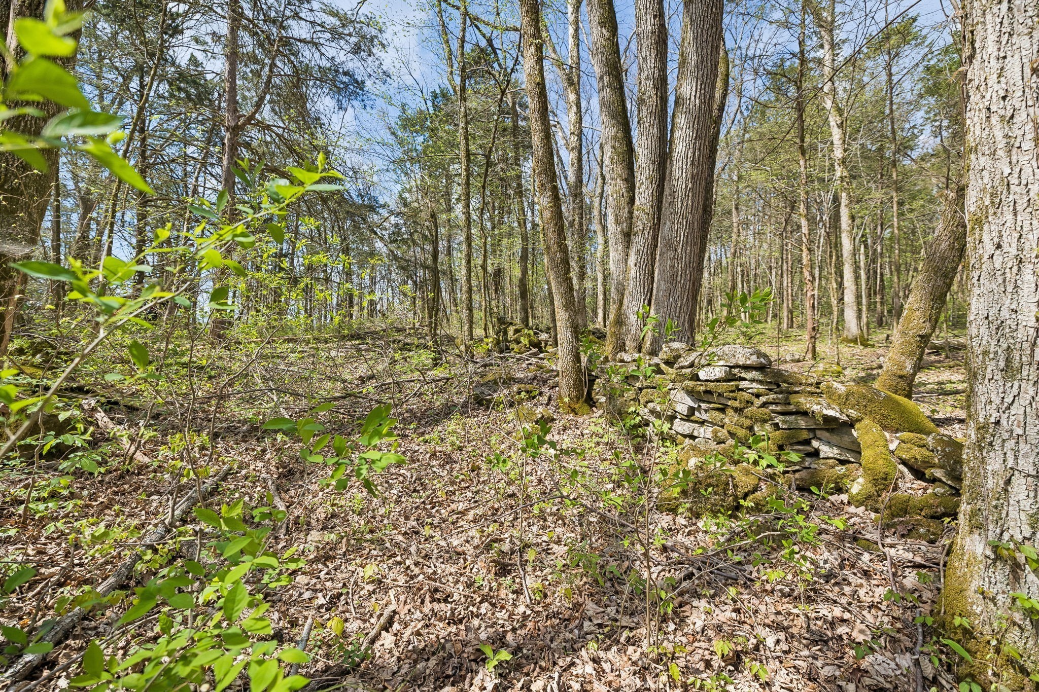 0 Turney Road Auburntown TN 37016