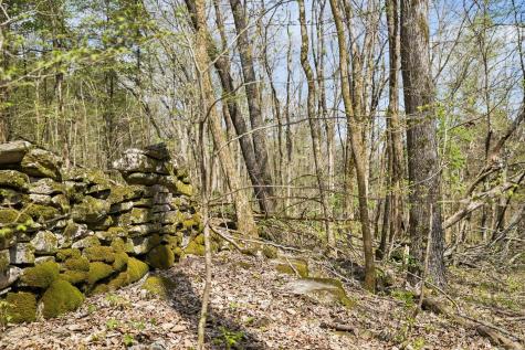 0 Turney Road Auburntown TN 37016