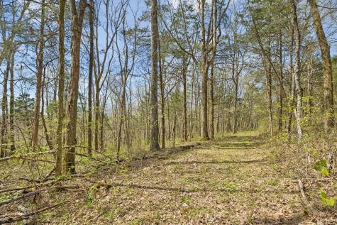 0 Turney Road Auburntown TN 37016