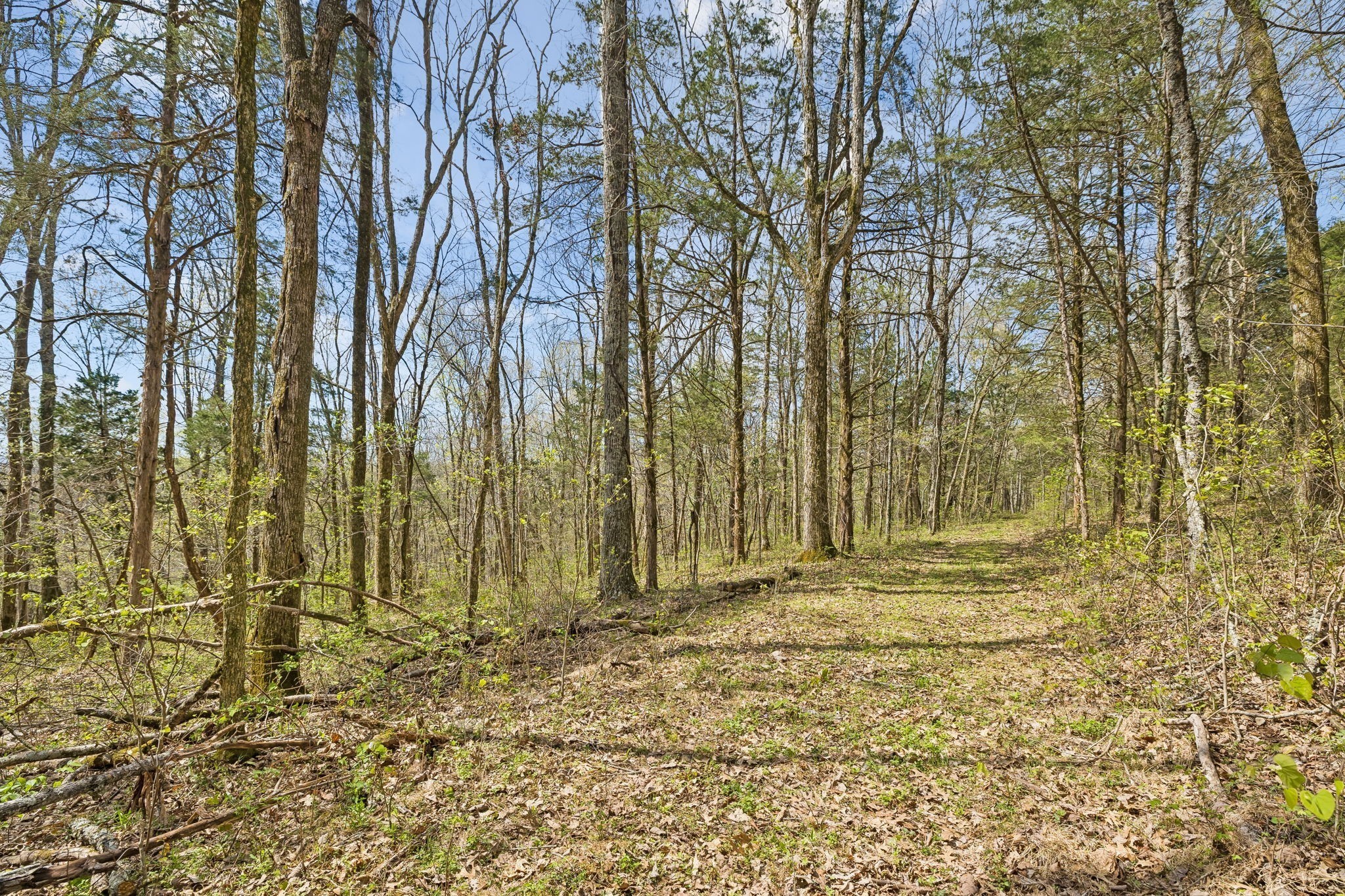0 Turney Road Auburntown TN 37016