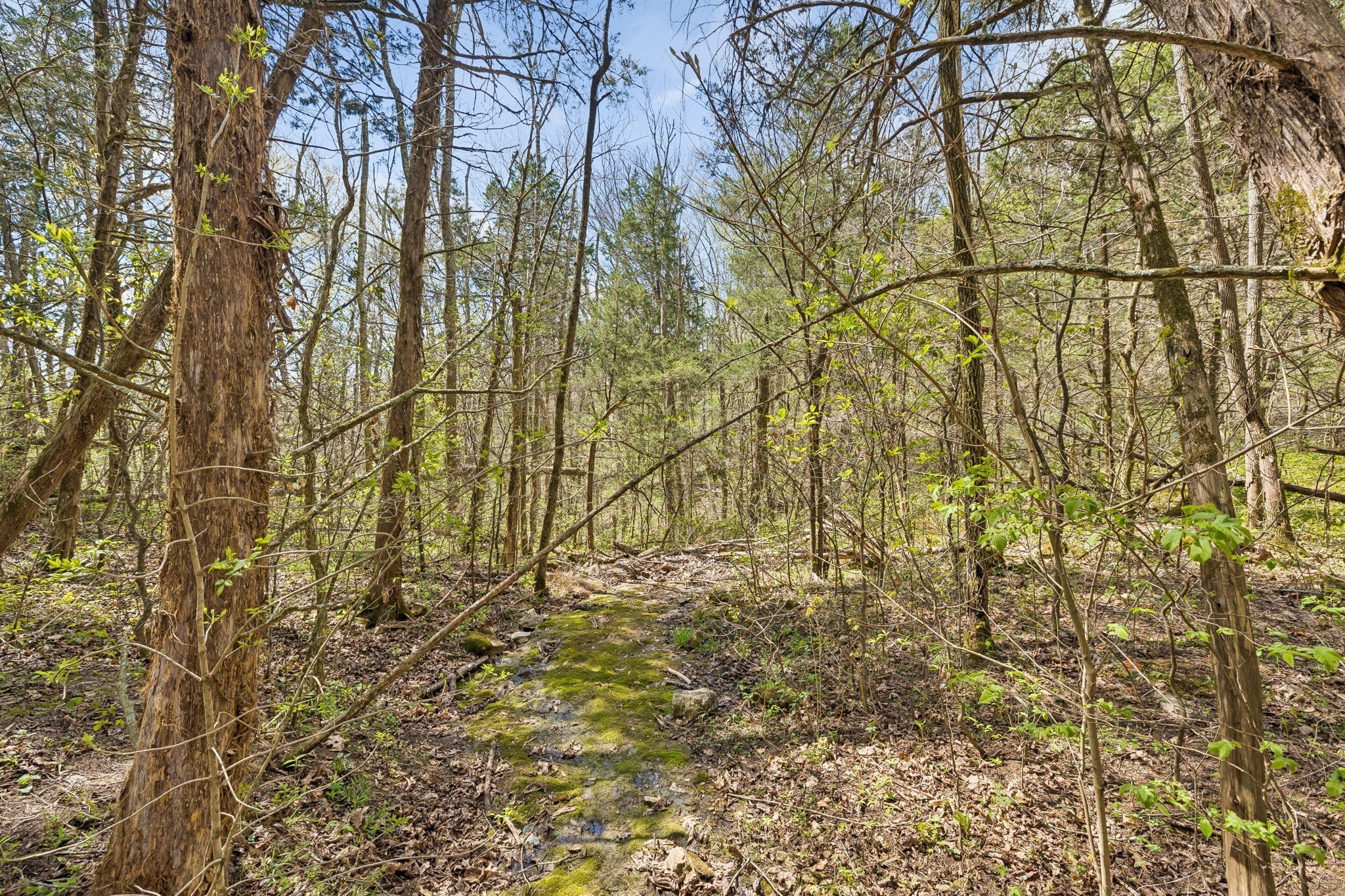 0 Turney Road Auburntown TN 37016