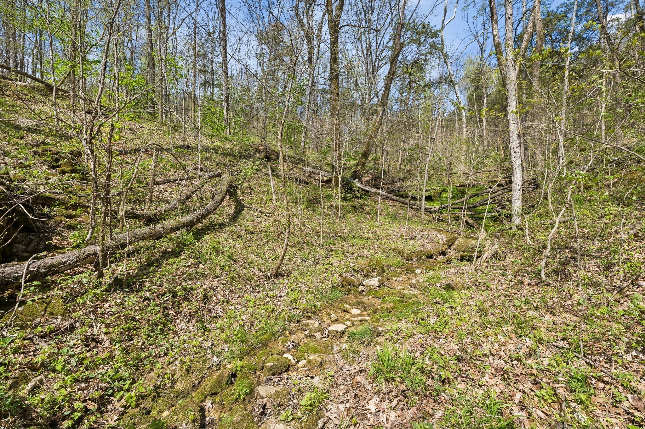 0 Turney Road Auburntown TN 37016