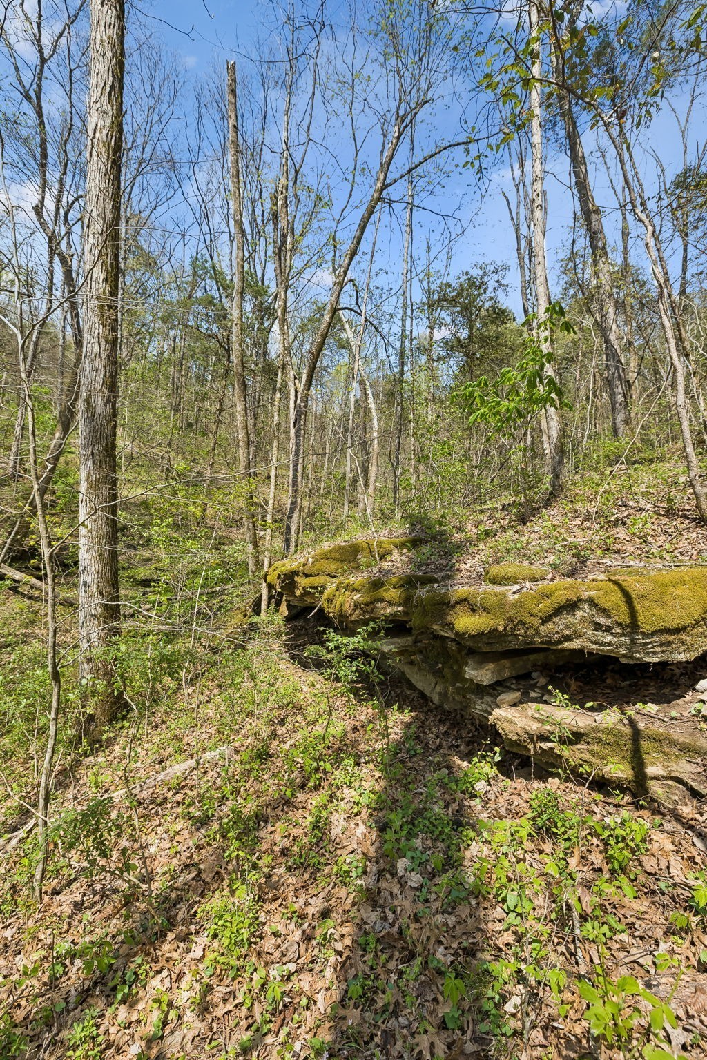 0 Turney Road Auburntown TN 37016