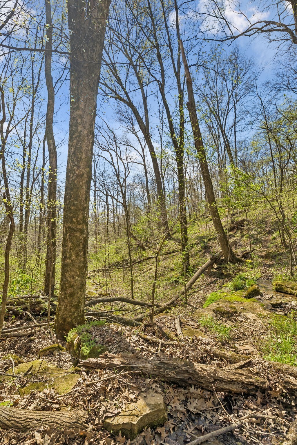 0 Turney Road Auburntown TN 37016