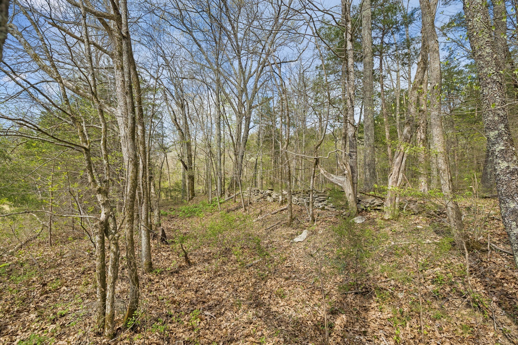 0 Turney Road Auburntown TN 37016