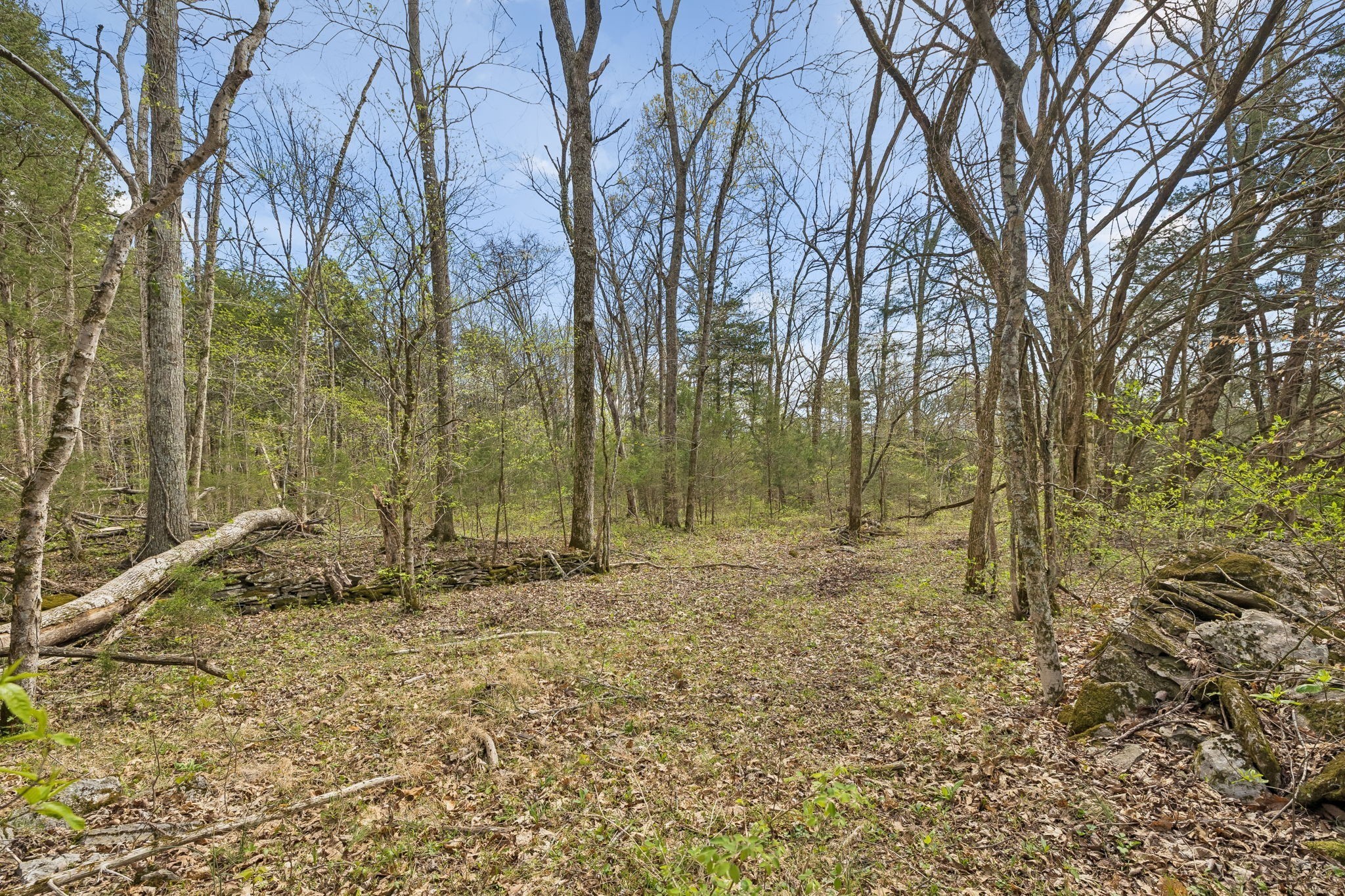 0 Turney Road Auburntown TN 37016