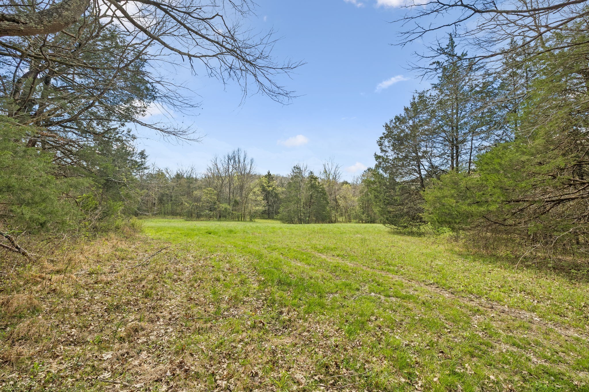 0 Turney Road Auburntown TN 37016