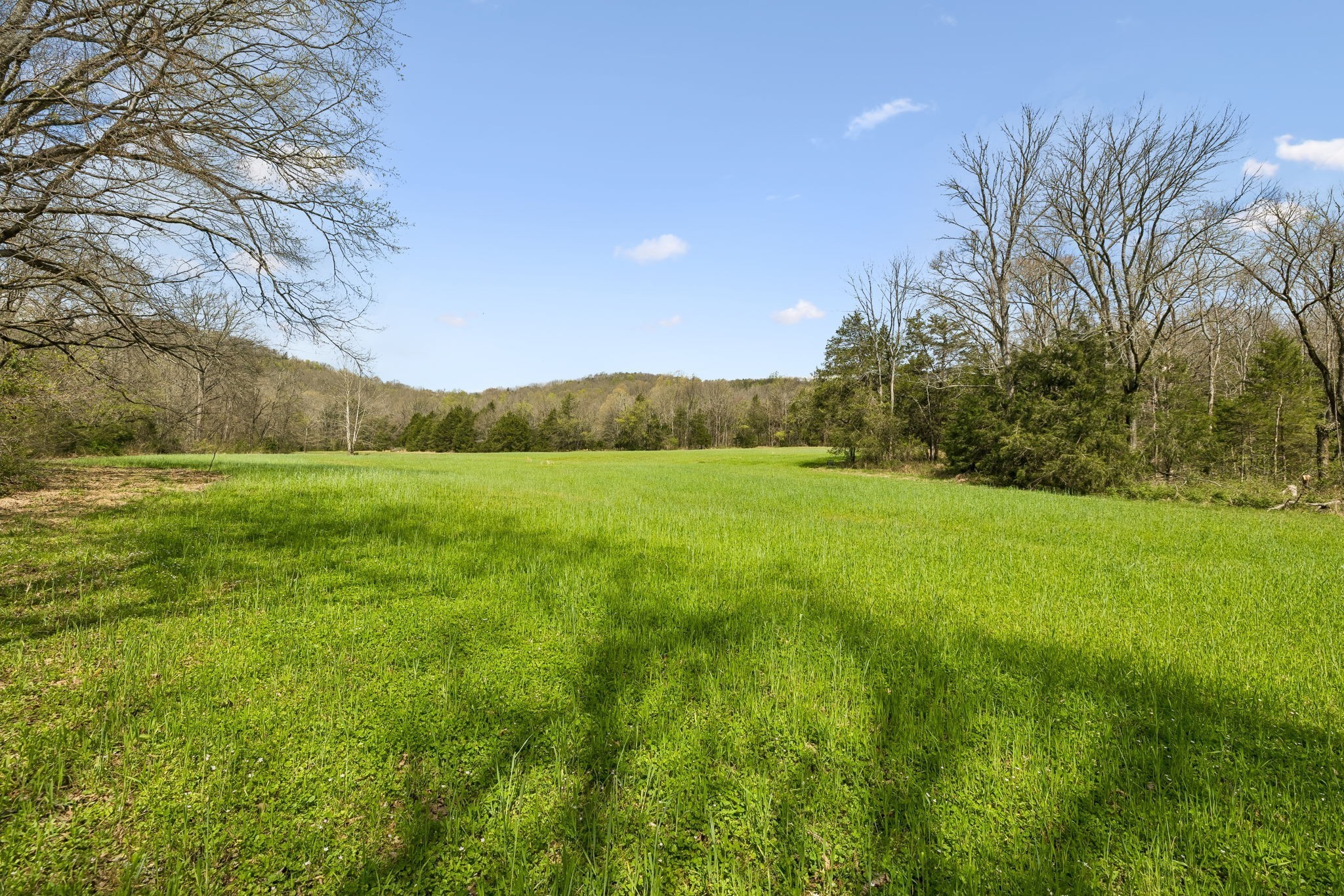 0 Turney Road Auburntown TN 37016