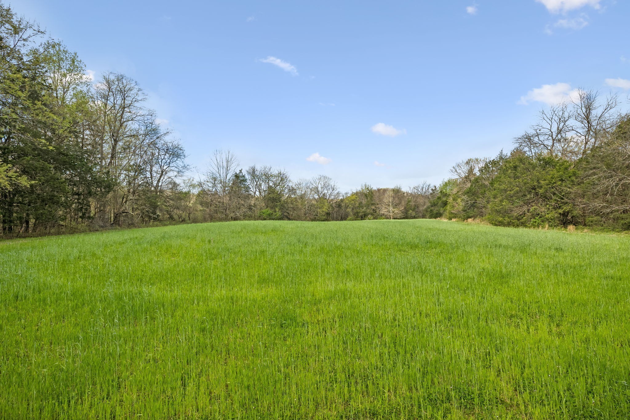 0 Turney Road Auburntown TN 37016