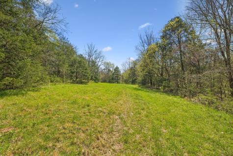 0 Turney Road Auburntown TN 37016