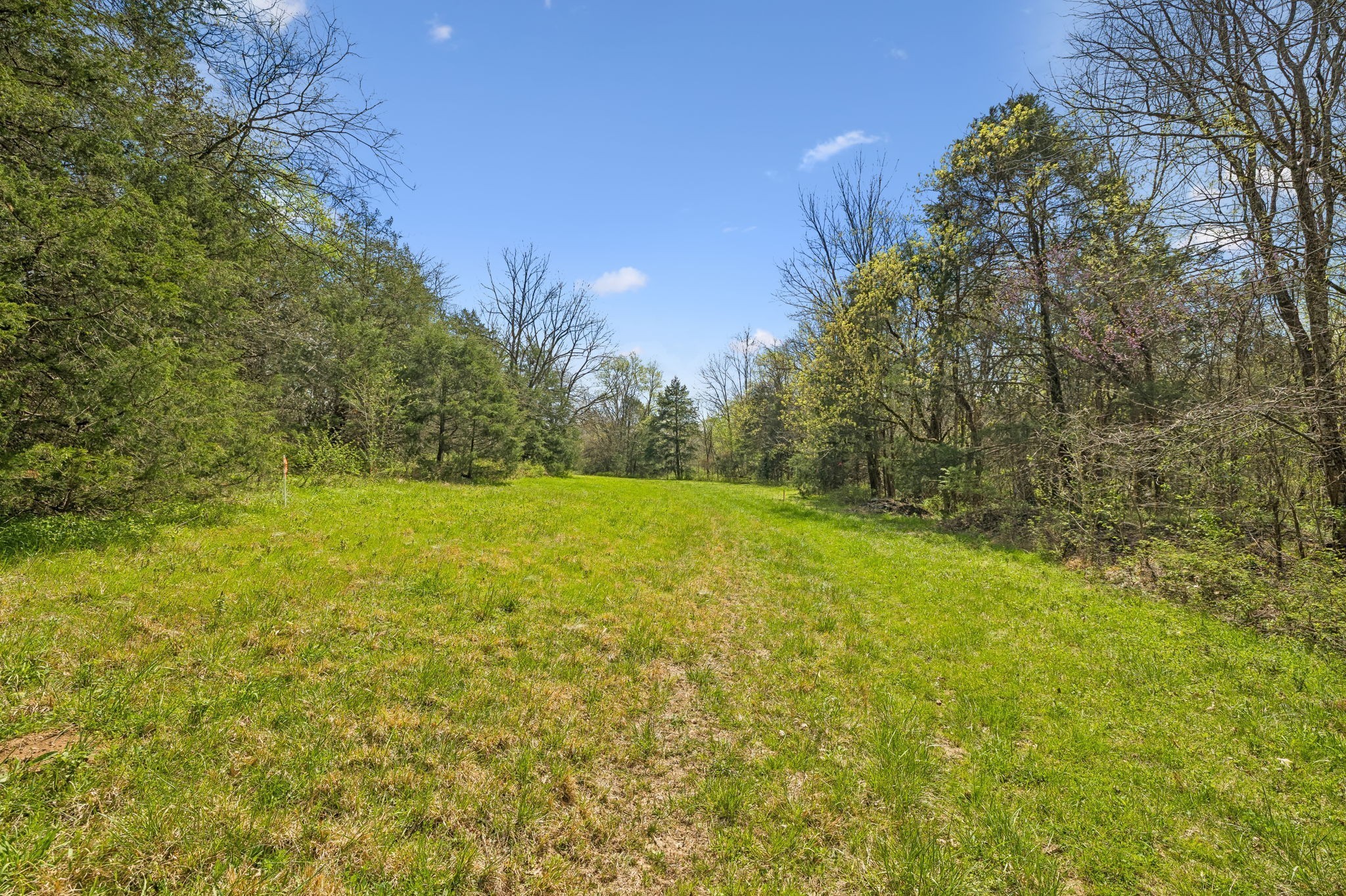 0 Turney Road Auburntown TN 37016