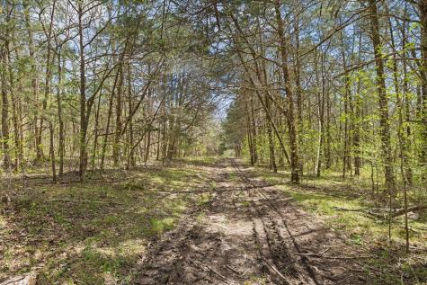 0 Turney Road Auburntown TN 37016