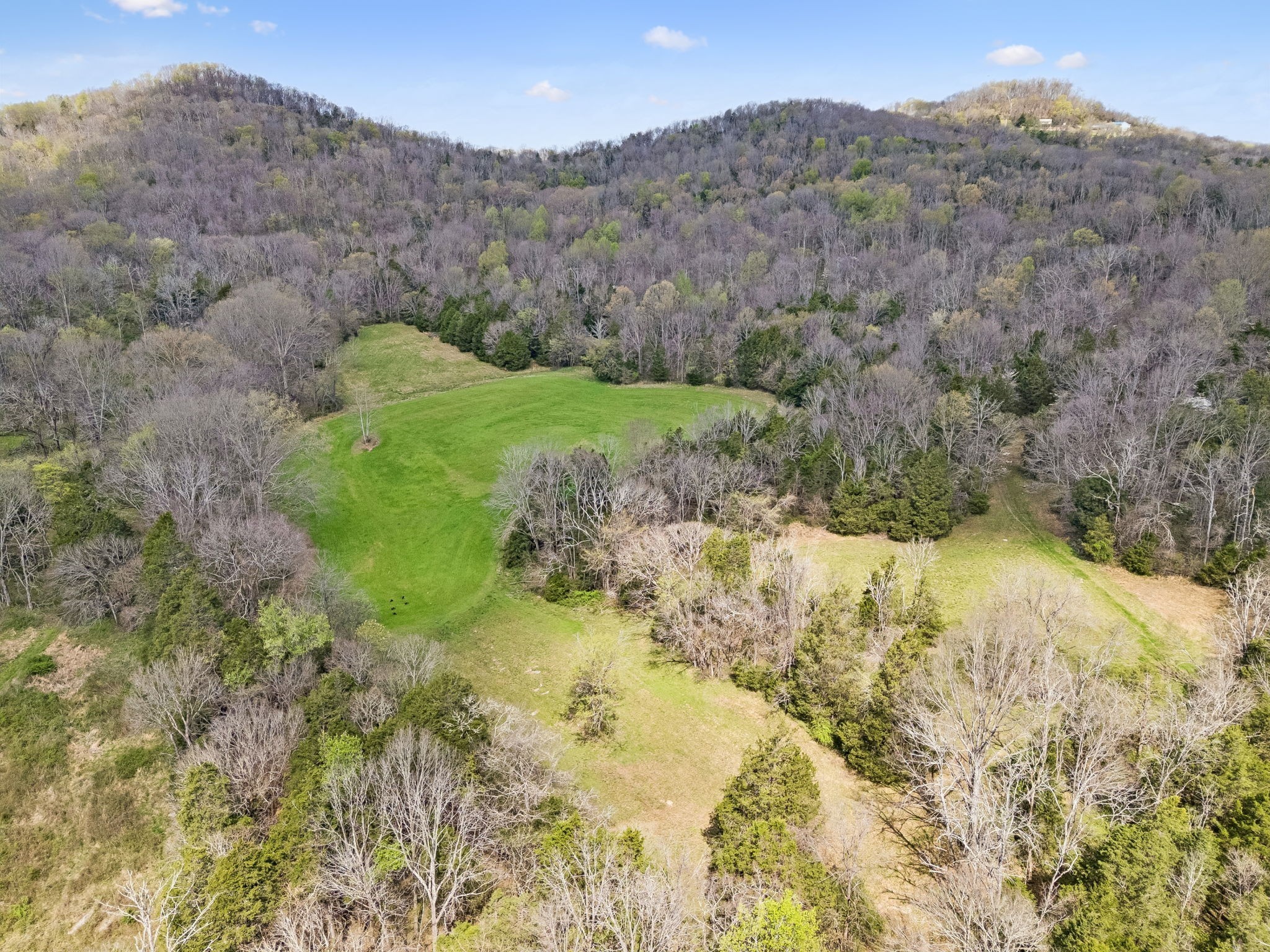 0 Turney Road Auburntown TN 37016