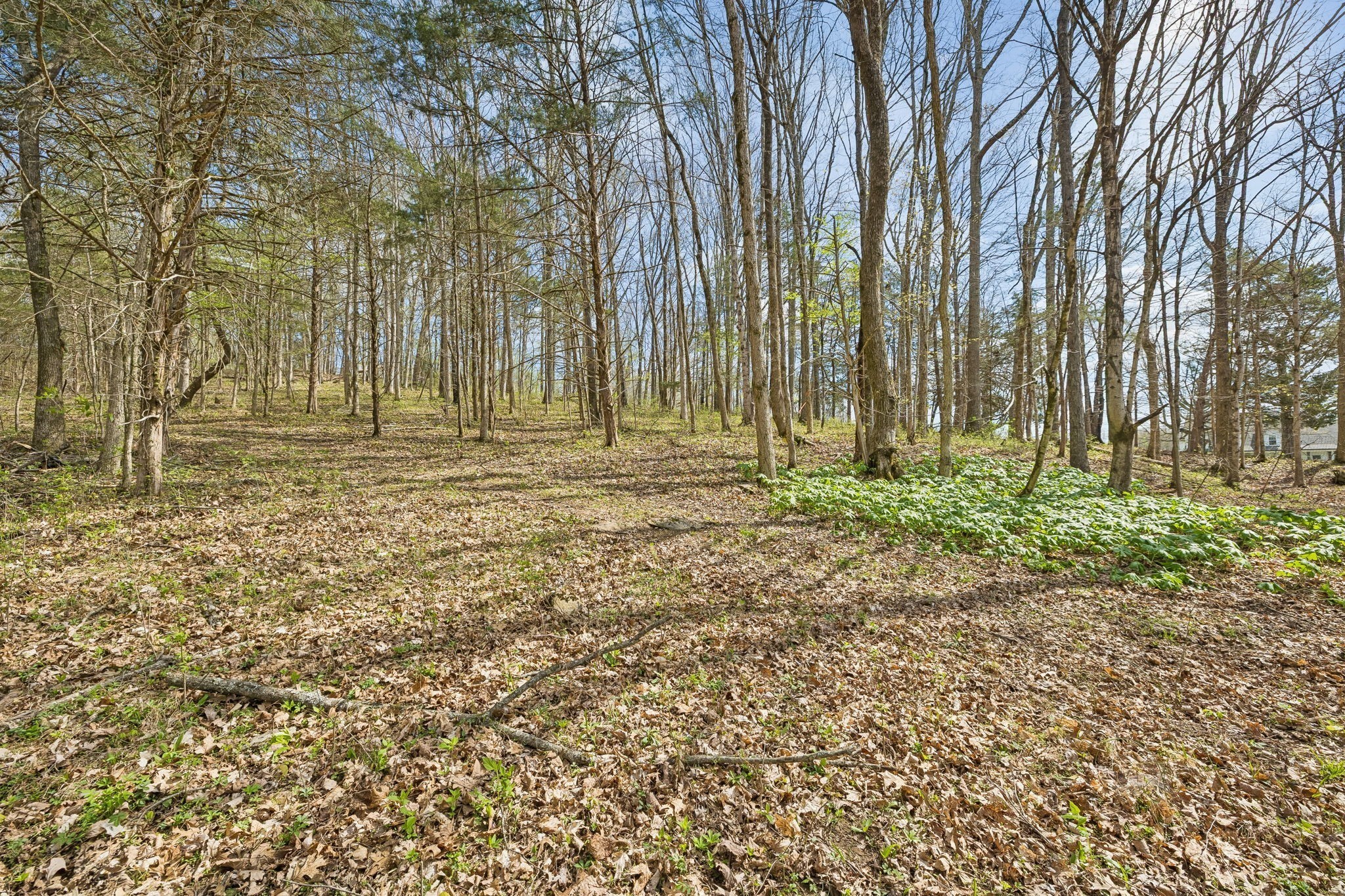 0 Turney Road Auburntown TN 37016