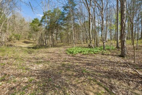 0 Turney Road Auburntown TN 37016