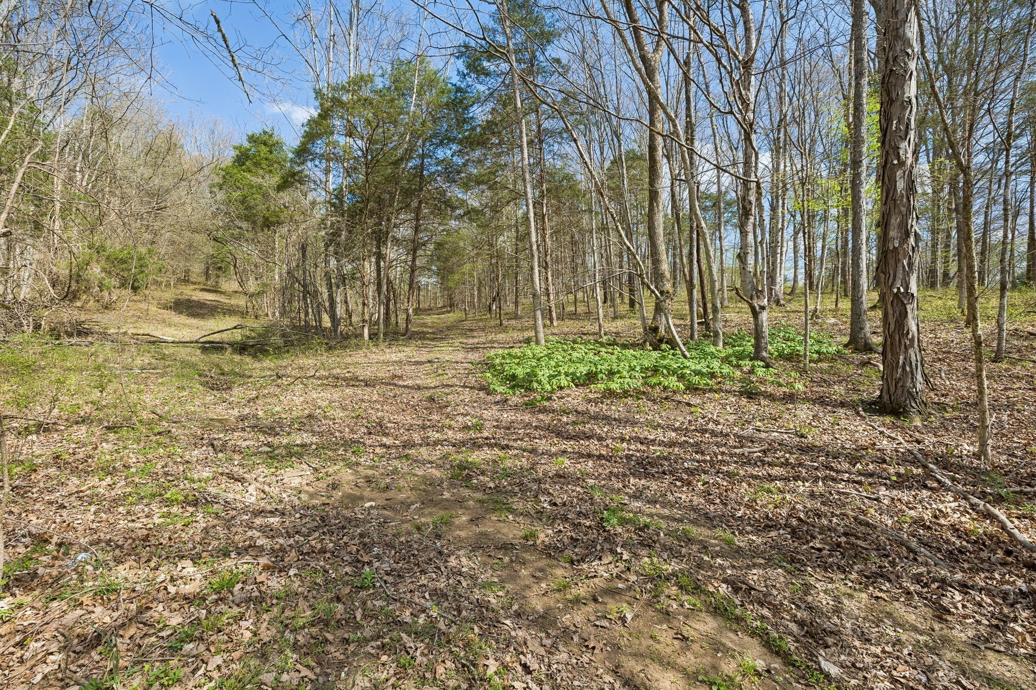0 Turney Road Auburntown TN 37016