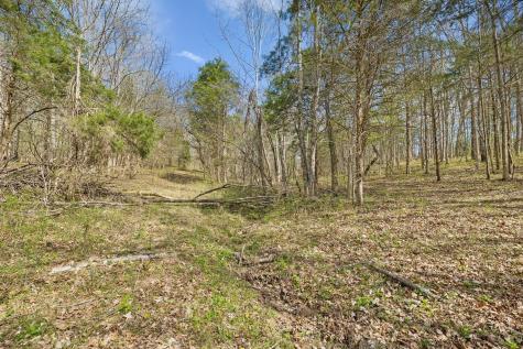 0 Turney Road Auburntown TN 37016