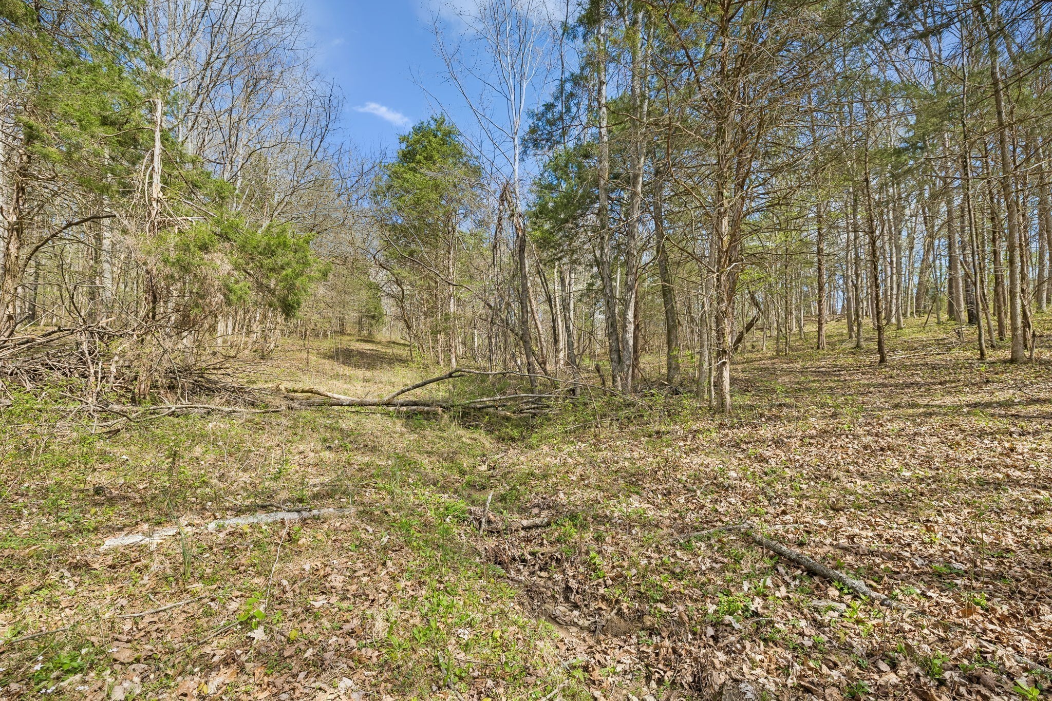 0 Turney Road Auburntown TN 37016