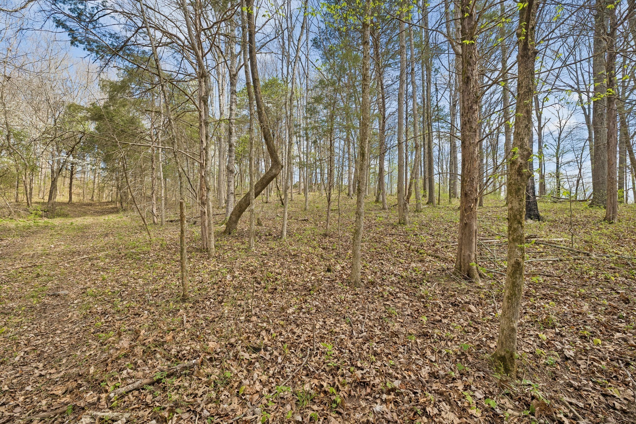 0 Turney Road Auburntown TN 37016