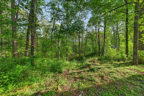2150 Sunset Drive White Bluff TN 37187