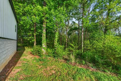 2150 Sunset Drive White Bluff TN 37187